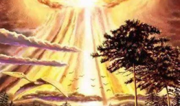 恐龙灭绝视频,揭秘地球生命史上最神秘事件